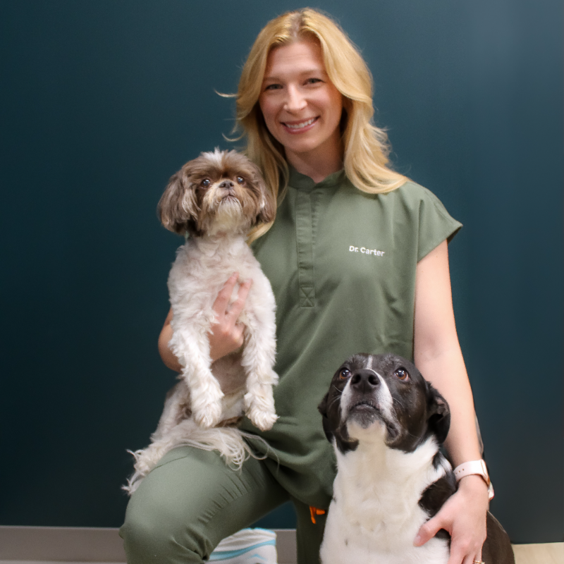 Dr. Alexandra Carter